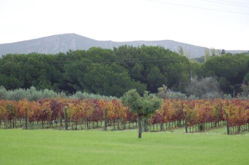 ホテル Quinta De Catralvos アゼイタオン エクステリア 写真