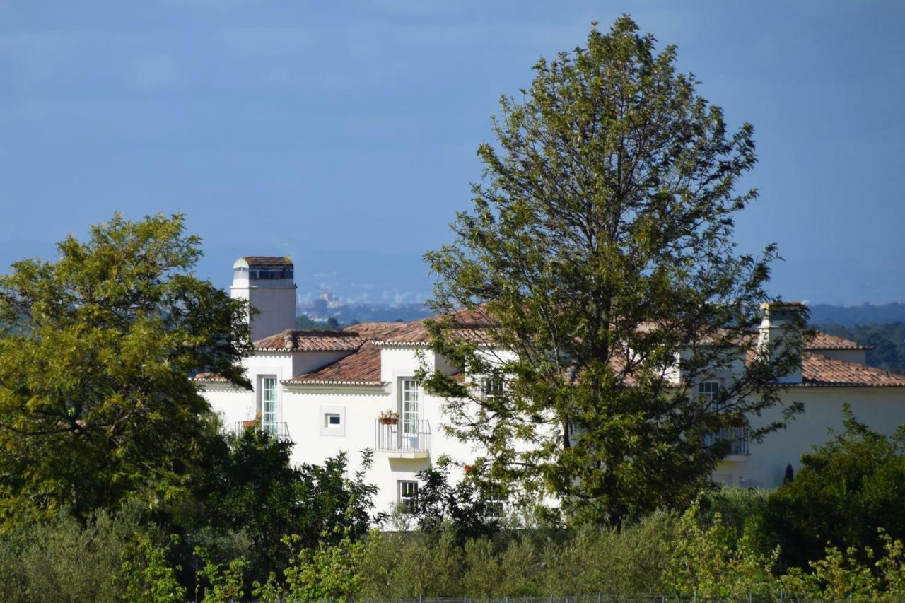 ホテル Quinta De Catralvos アゼイタオン エクステリア 写真